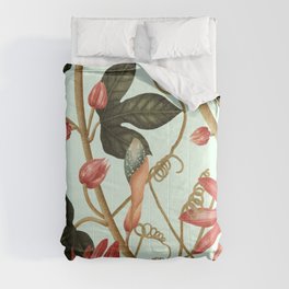 Botanica illustration Comforter