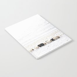 Icelandic Sheep VI Notebook