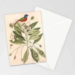 Painted bunting by Mark Catesby, 1729-1731 (benefitting The Nature Conservancy) Stationery Card