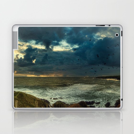 After the Storm Laptop & iPad Skin