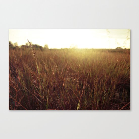 Sweet Sunset Canvas Print