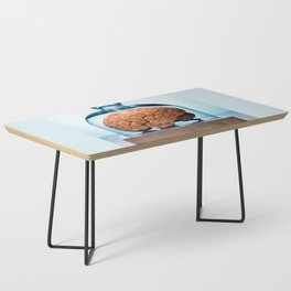 Brain under glass specimen  Coffee Table