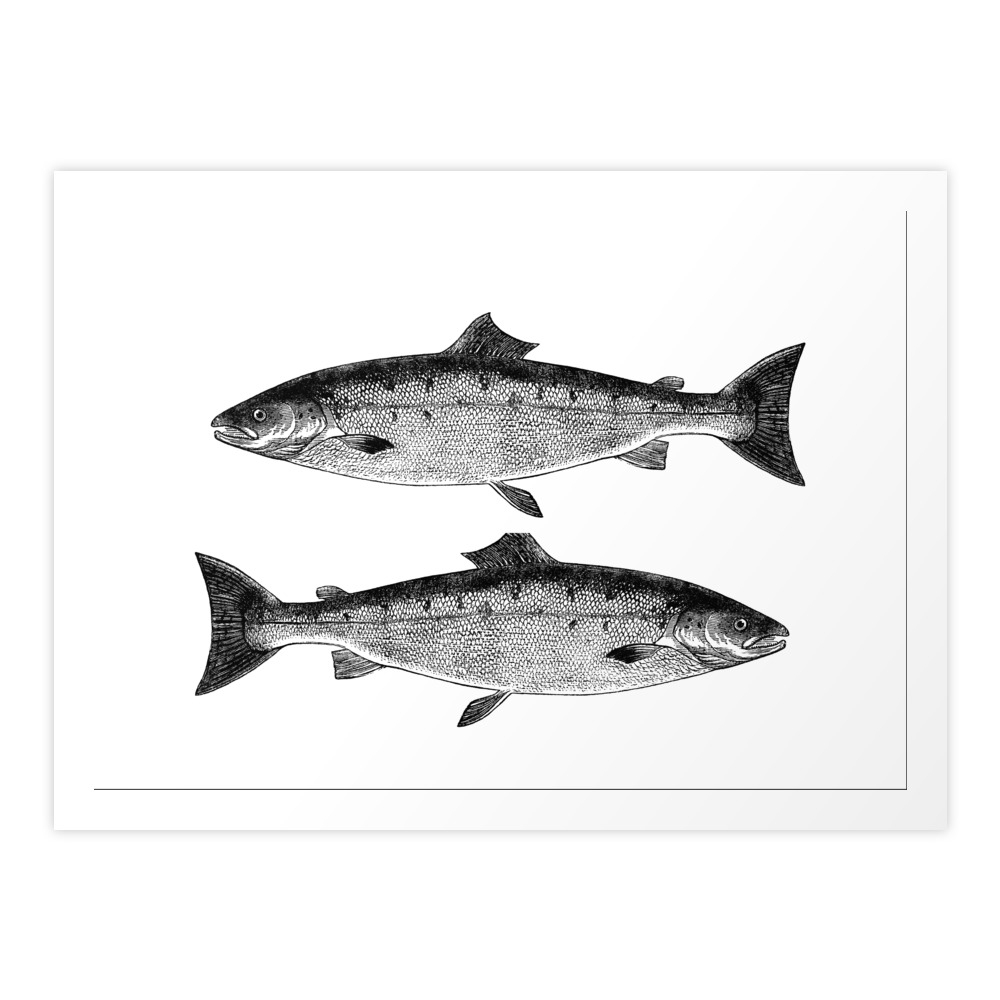 Two Black Fish, Dos Peixes, Peces Art Print by bienpiola