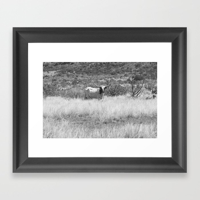 West Texas Longhorn Photography Framed Art Print