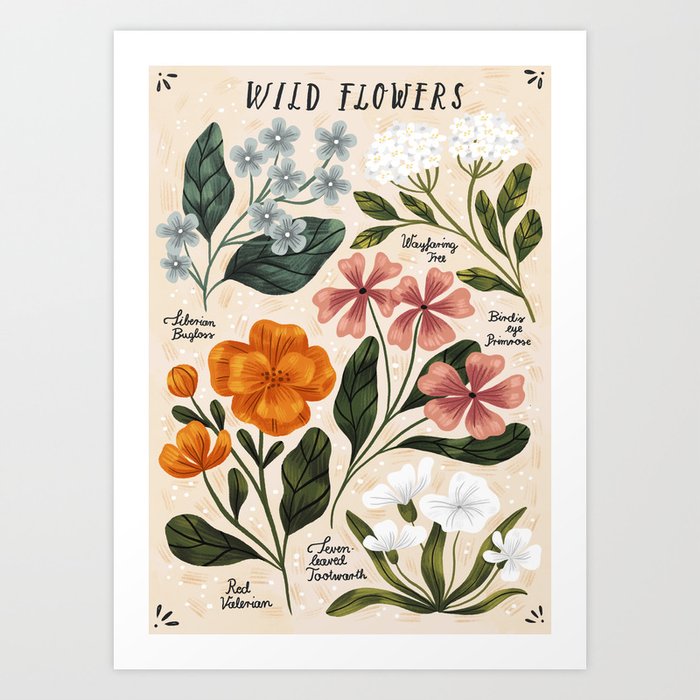 Wild Flowers ~ vol2.  vintage inspired botanical Art Print