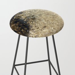Clear Coral Reef Bar Stool