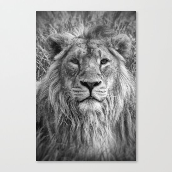 The King Canvas Print