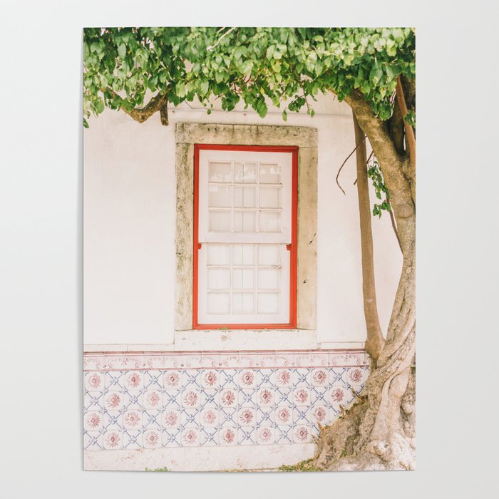 Tree in Alfama District - Lisbon Photo Print - Portugal Travel Photography Poster