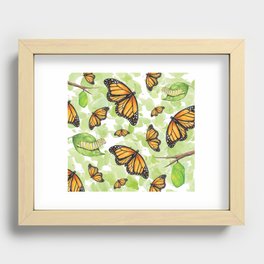 Monarch Butterfly Life Cycle Recessed Framed Print