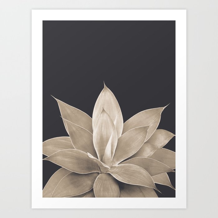 Sepia Agave #1 #tropical #decor #art #society6 Art Print