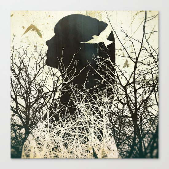 Fleeting Freedom Canvas Print