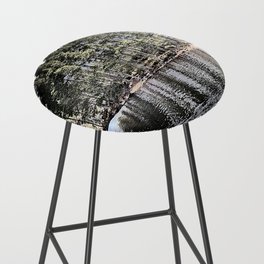 Spring Pine Trees of Loch an Eilein in I Art and Afterglow  Bar Stool