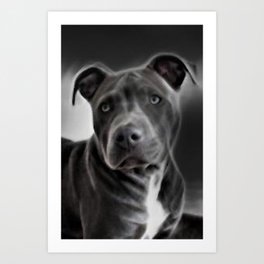 Pit Bull lover, a portrait of a beautiful Blue Nose Pit Bull Art Print