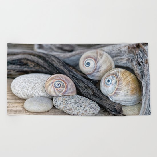 Shark's eye shells and driftwood Beach Towel