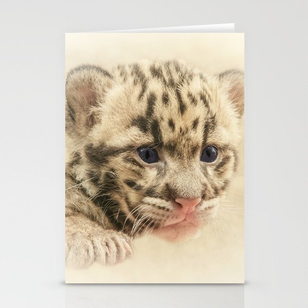 CUTE CLOUDED LEOPARD CUB Stationery Cards