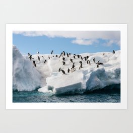 Gentoo Penguin playtime at your local iceberg Antarctica Art Print