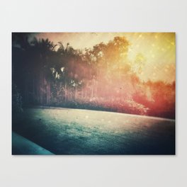 Sun Drenched Palms  Canvas Print