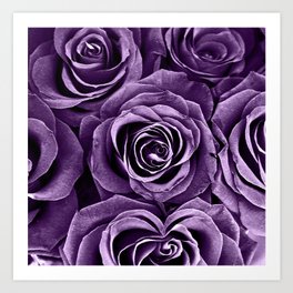 Rose Bouquet in Purple Art Print