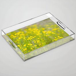 Yellow Flower Field Acrylic Tray