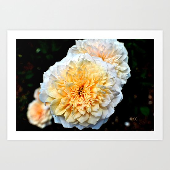 Tangerine Art Print