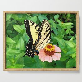Butterfly on Zinnia 4 Serving Tray
