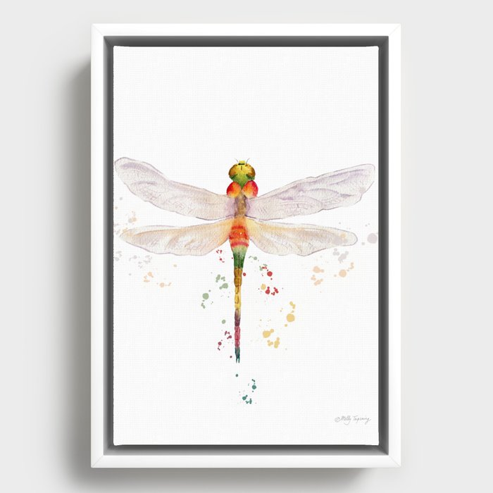 Framed Canvas