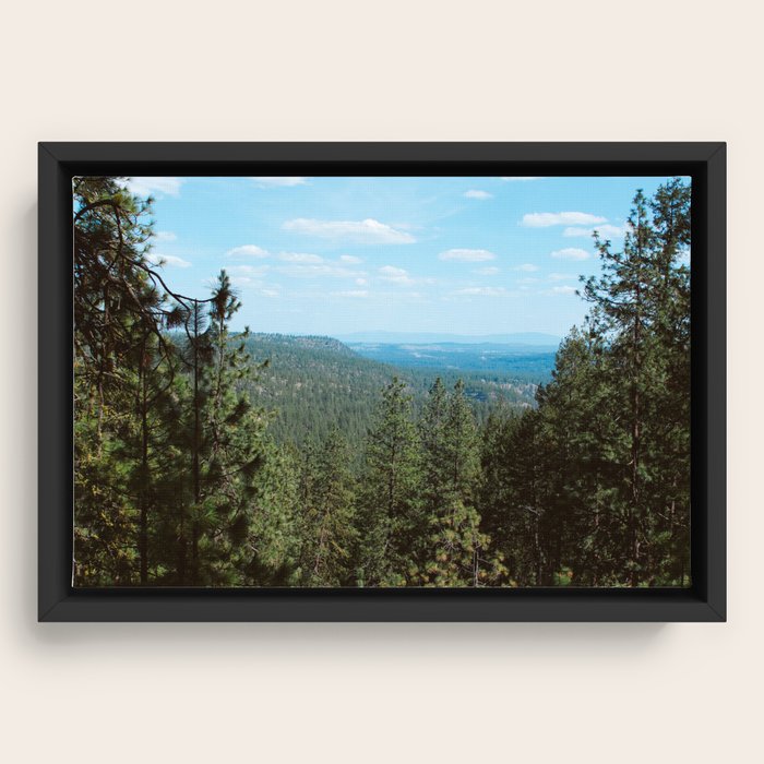 Framed Canvas