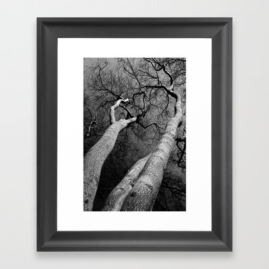Monochrome Trees Framed Art Print