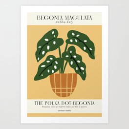 begonia maculata Art Print