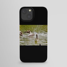 Hunting Ducks iPhone Case