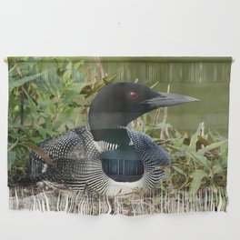 Common loon on eggs Wall Hanging
