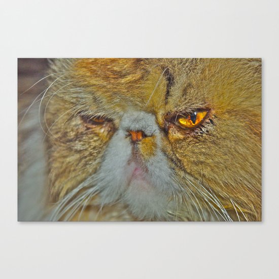 LOKI Canvas Print