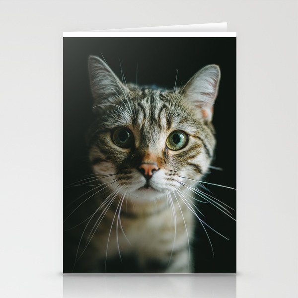 Portrait of a Cat Stationery Cards