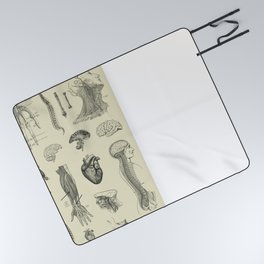 Vintage Anatomy Print Picnic Blanket