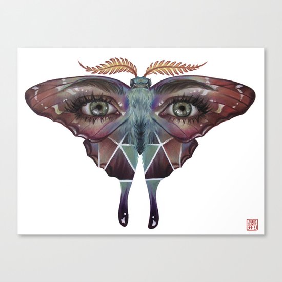 Butterfleye Canvas Print
