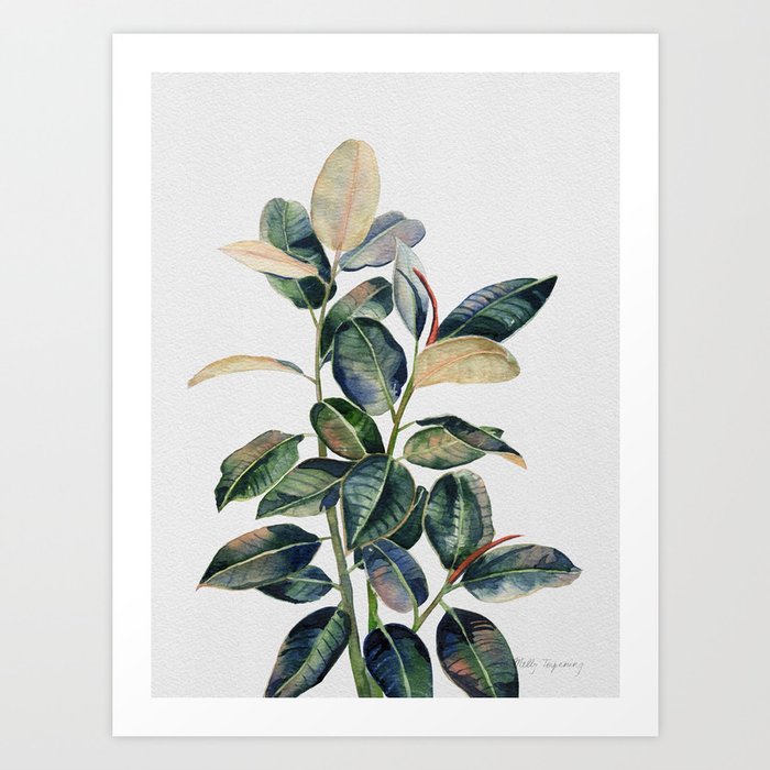 Ficus Leaves Watercolor Art Print