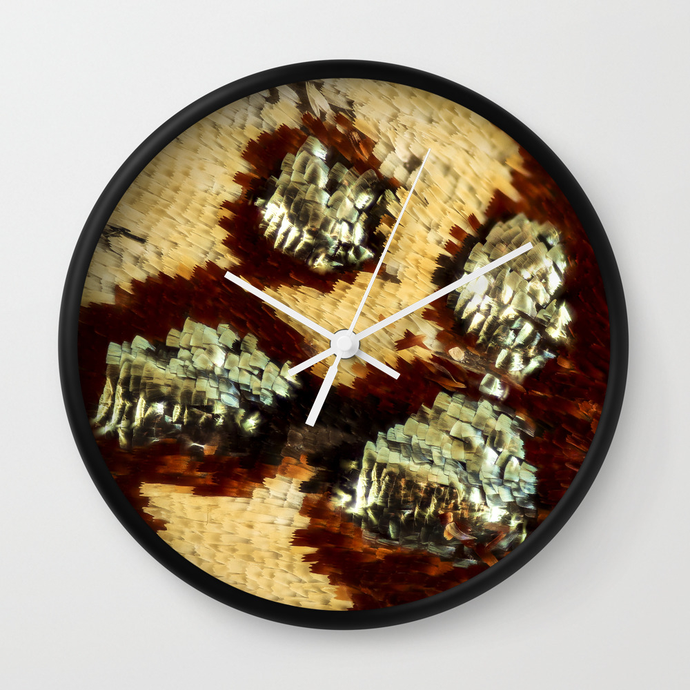 Butterfly Magnified Anteros Fomosus Wall Clock By Thehornitoscompany Society6 You could only get the butterfly pin last year and no u cant get it as a gift waddle on. society6