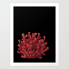 Red Beard Sponge Art Print