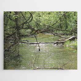 Springtime in the Forest 1 Jigsaw Puzzle