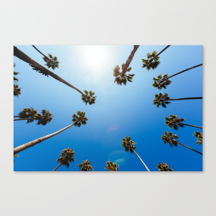 Palm Trees in Los Angeles Canvas Print