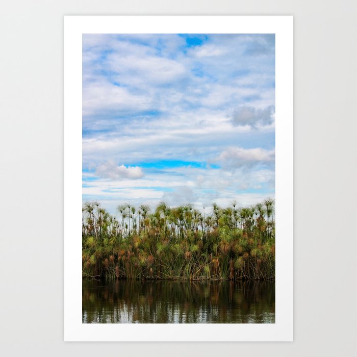 Okavango Delta Papyrus Art Print
