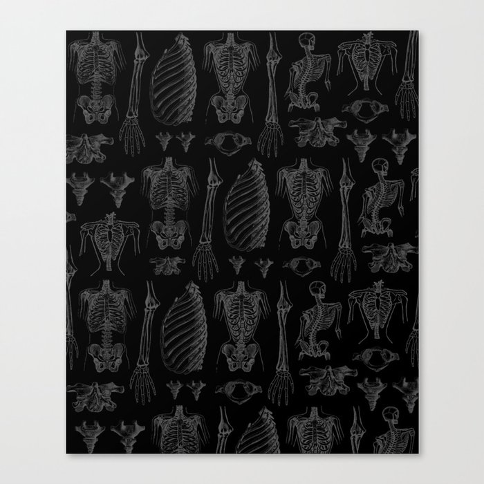 Anatomy Black & Gray Canvas Print