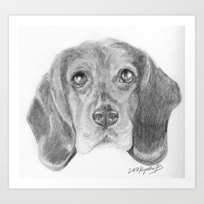 Beagle Dog Face Realistic Pencil Sketch Drawing Art Print ...