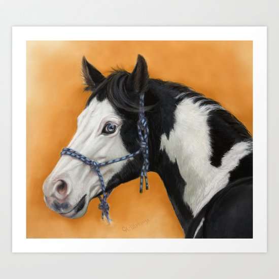 American Paint Horse - portrait Art Print
