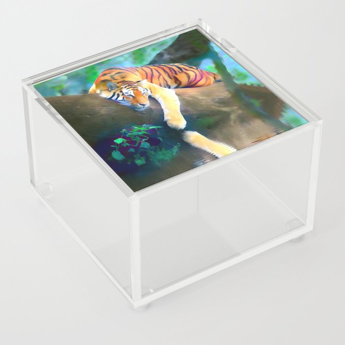 Tiger in the River Acrylic Box