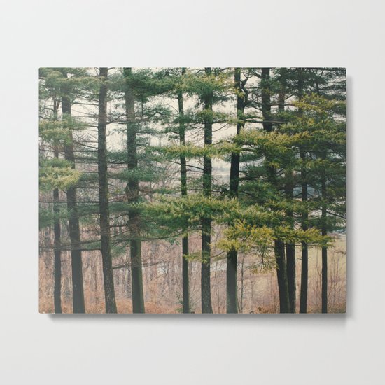 Evergreen Metal Print