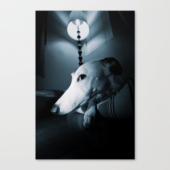 An Evening with Fleasels McDuff Canvas Print