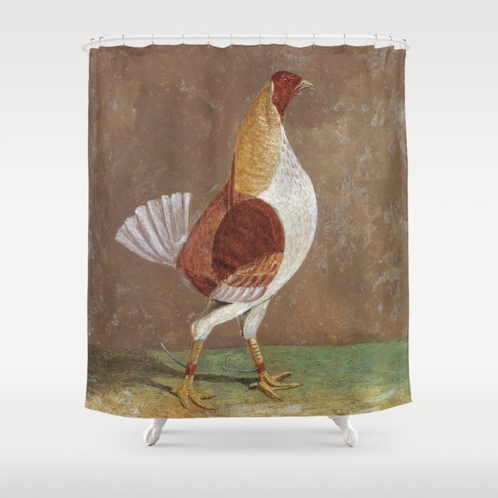 Fighting Cocks, a Pale-Breasted Fighting Cock, Facing Right  Shower Curtain