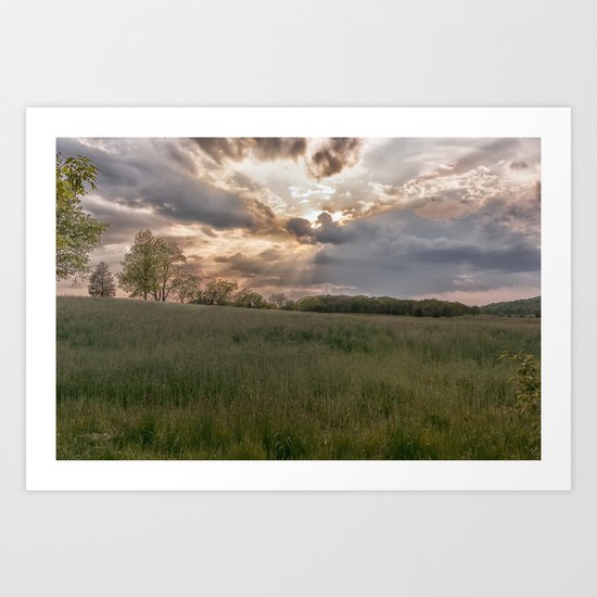 Summer field Art Print