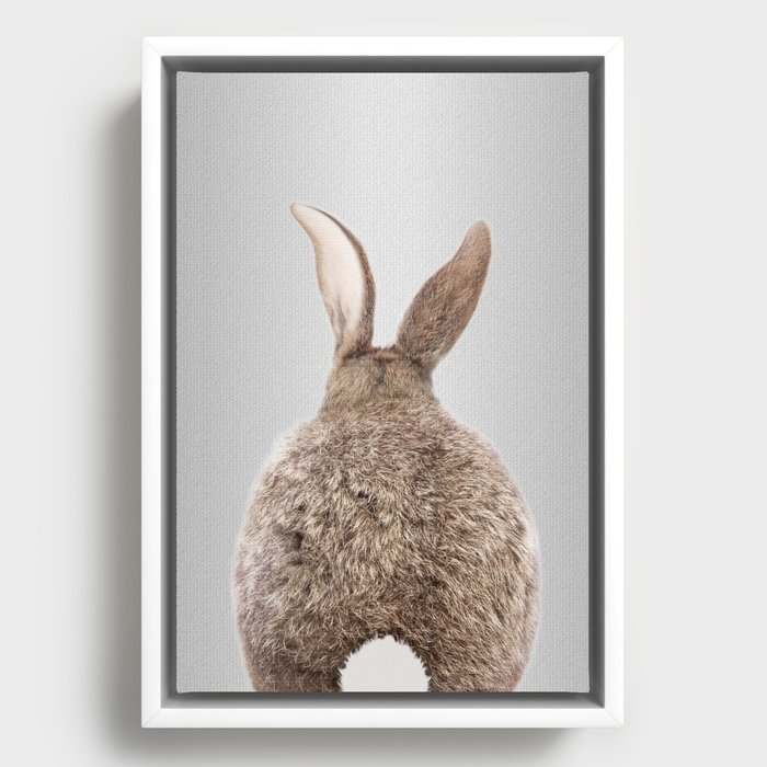Back of a Brown Rabbit - Framed Canvas